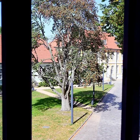 Brandenburger Dom * Brandenburg (Brandenburg an der Havel)
