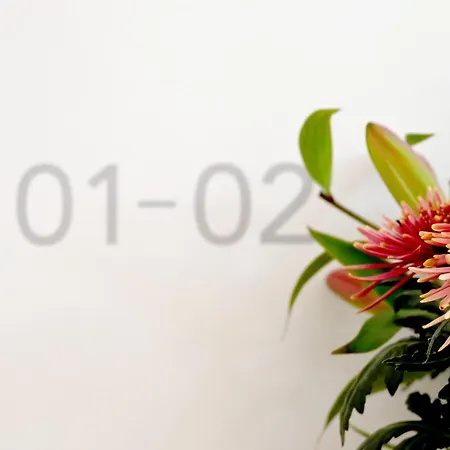 Отель Brandenburger Dom